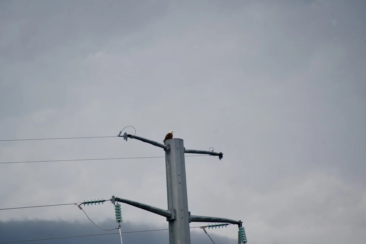 LOCAL 10: What Hastings Should Know Today — Thursday, July 2nd, 2026