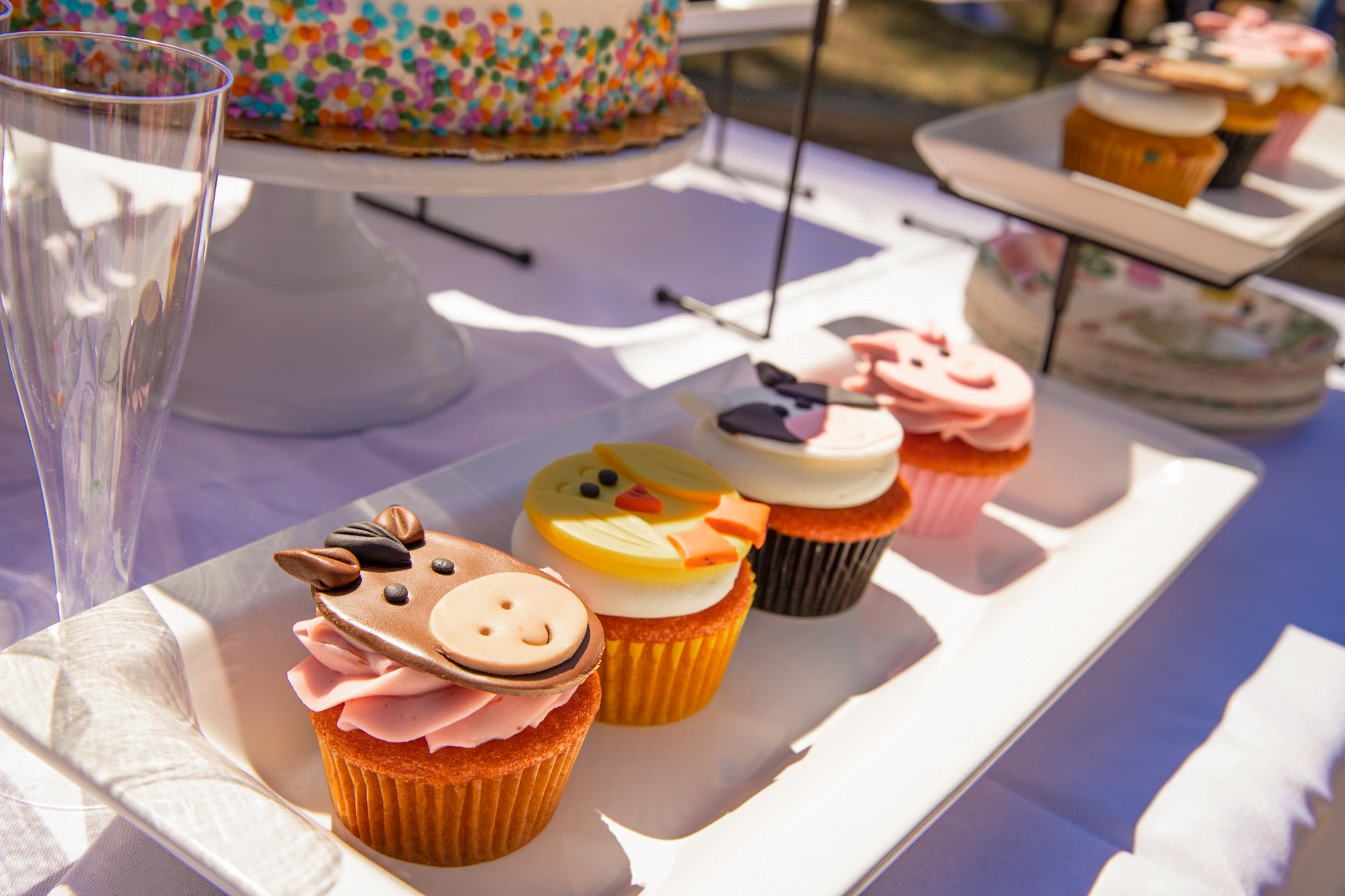 Birthday Cupcakes