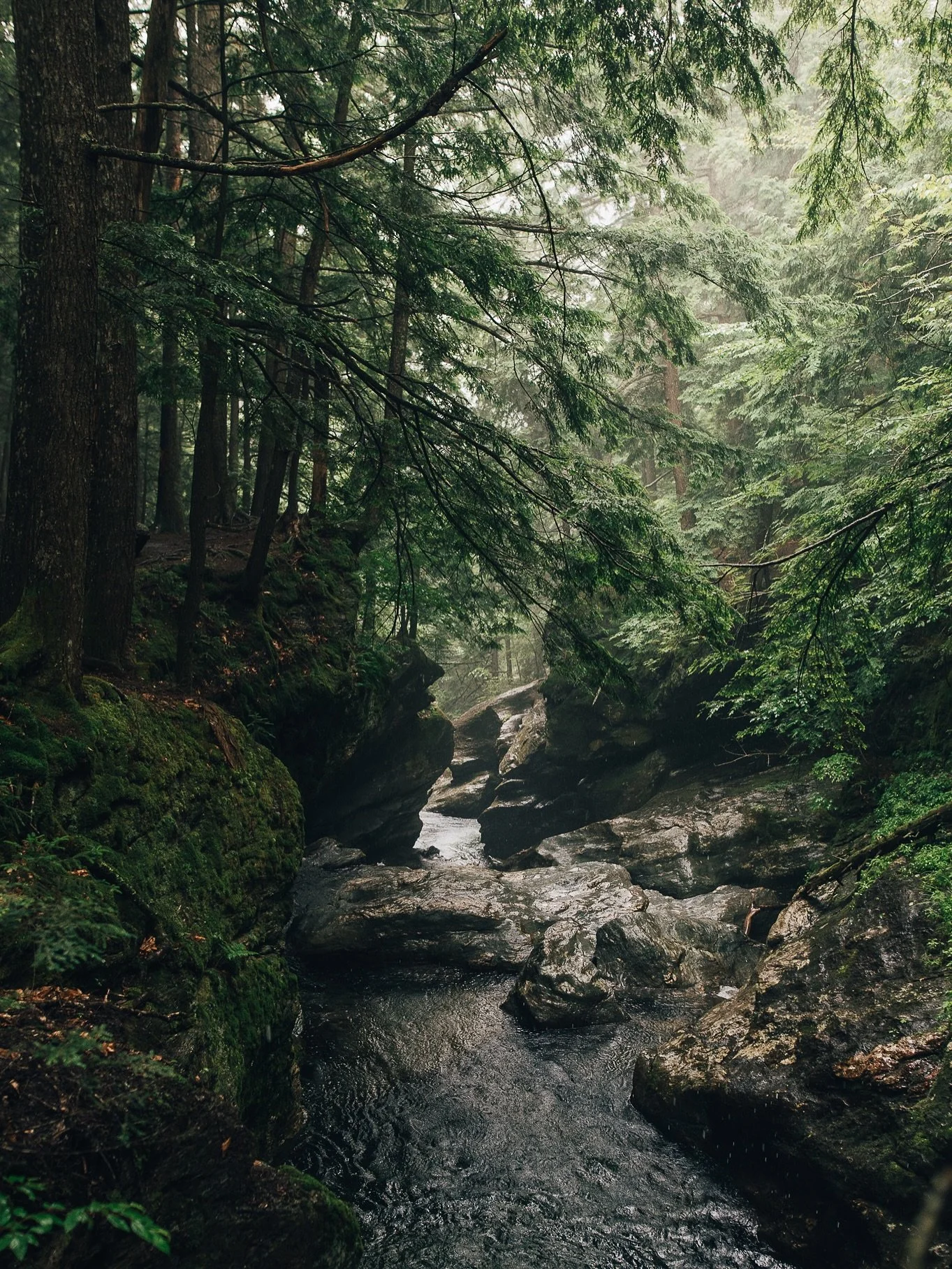 When your days off sync with the rain &gt;&gt;&gt;