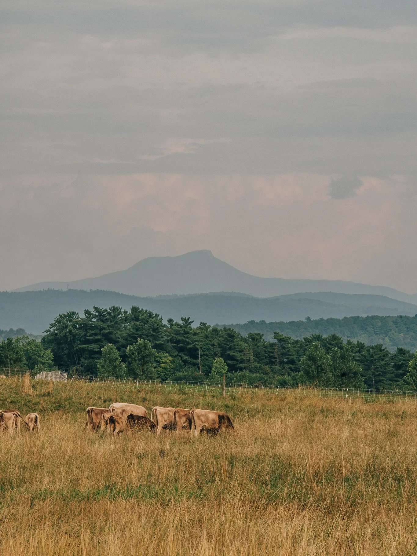 One hazy day in Vermont. 

📸 Shot for @hotelvermont
