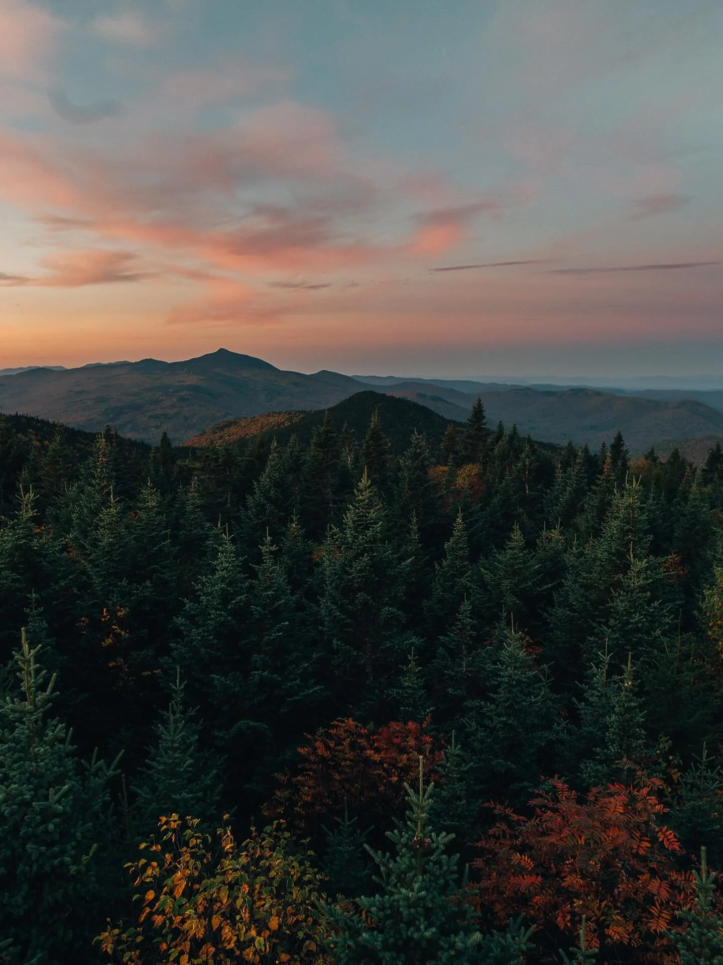 Good morning say it back