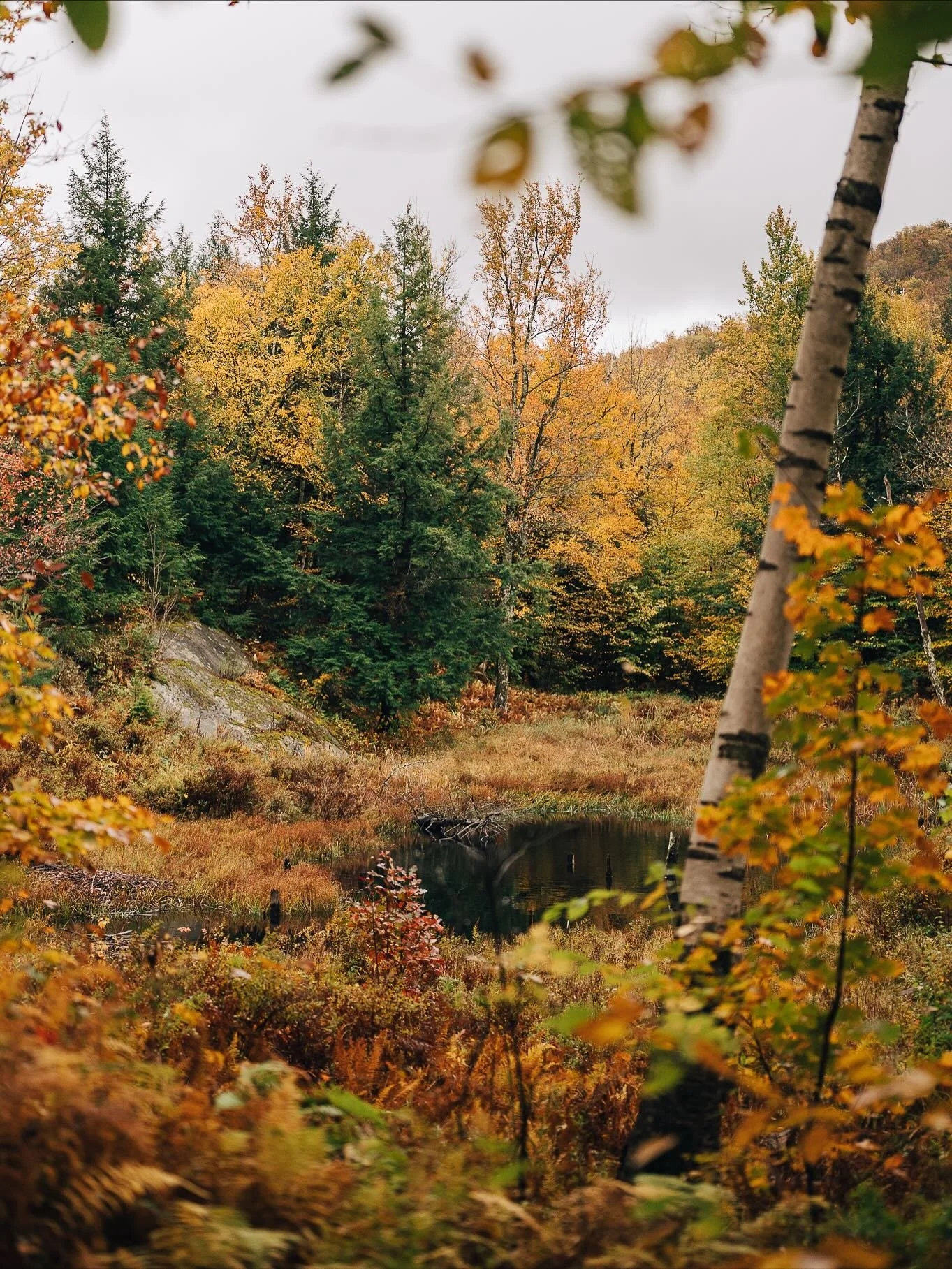 My favorite spot for an autumnal jaunt