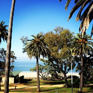 Californication Part 1: The A Muse Bouche Guide to LA  