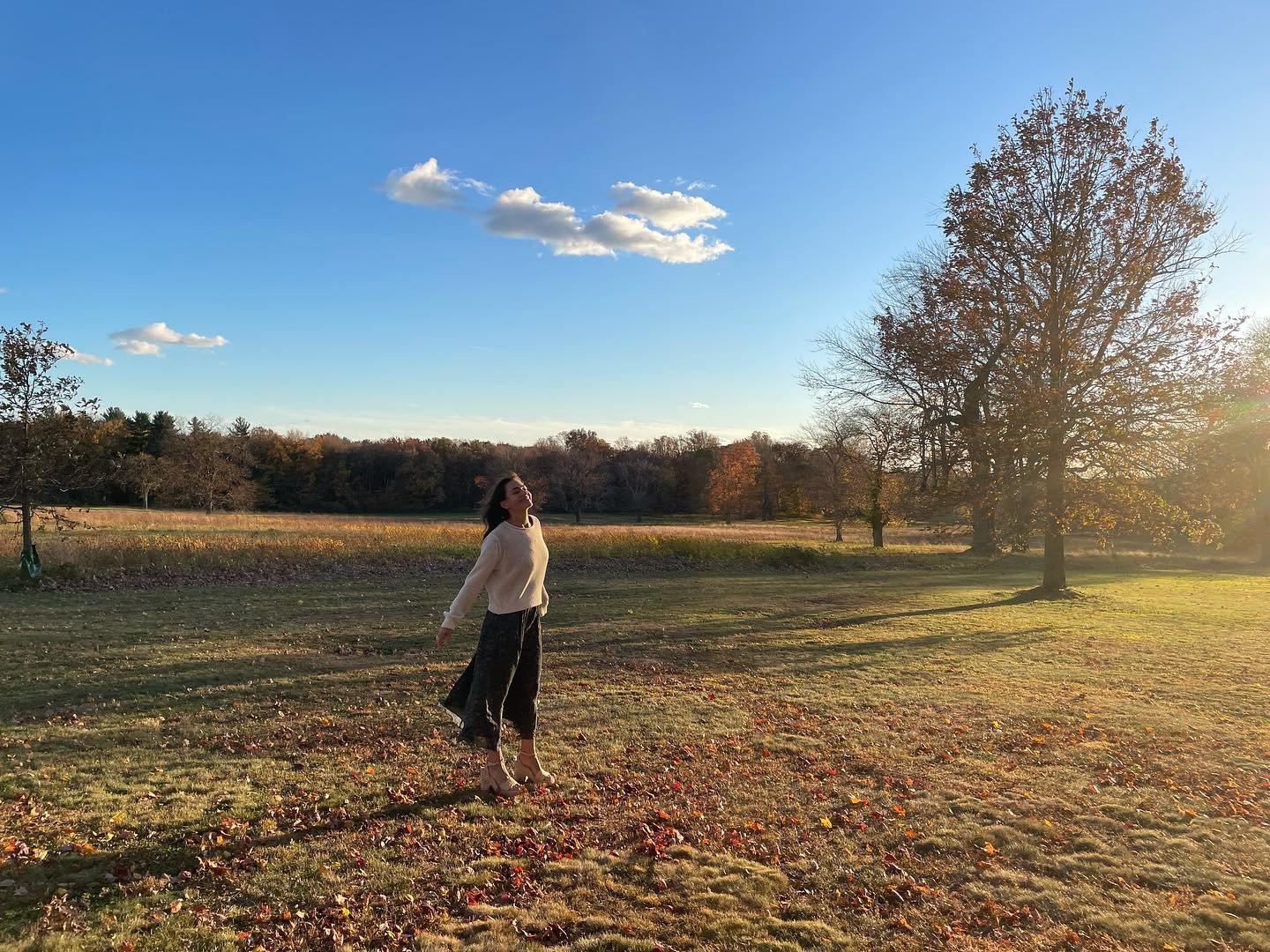 Autumn magic for the surprising book I&rsquo;m obsessed with. It&rsquo;s a must read (or listen- ppl like the audio!) 2nd link in bio.