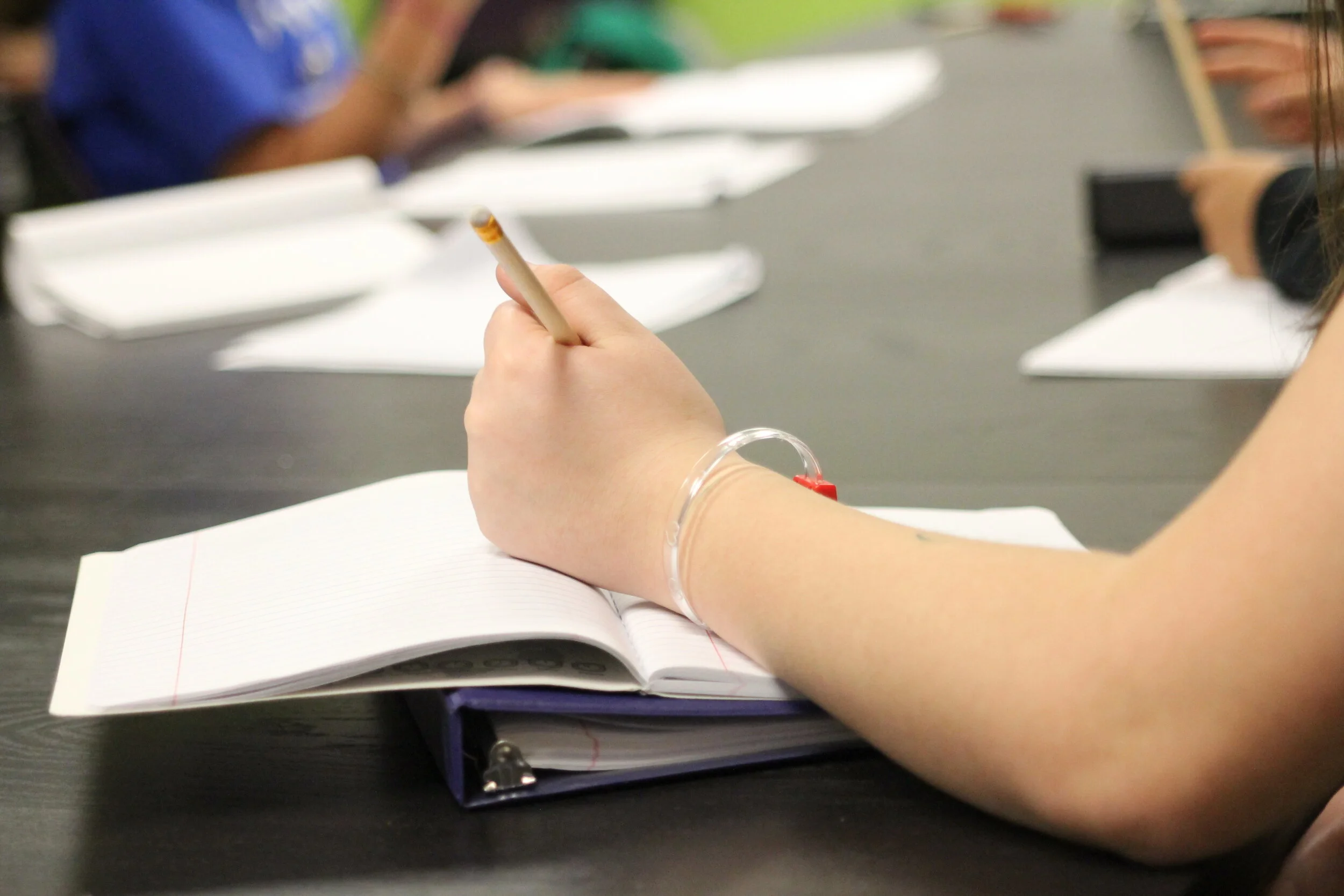 Copy of IMG_3267.JPG