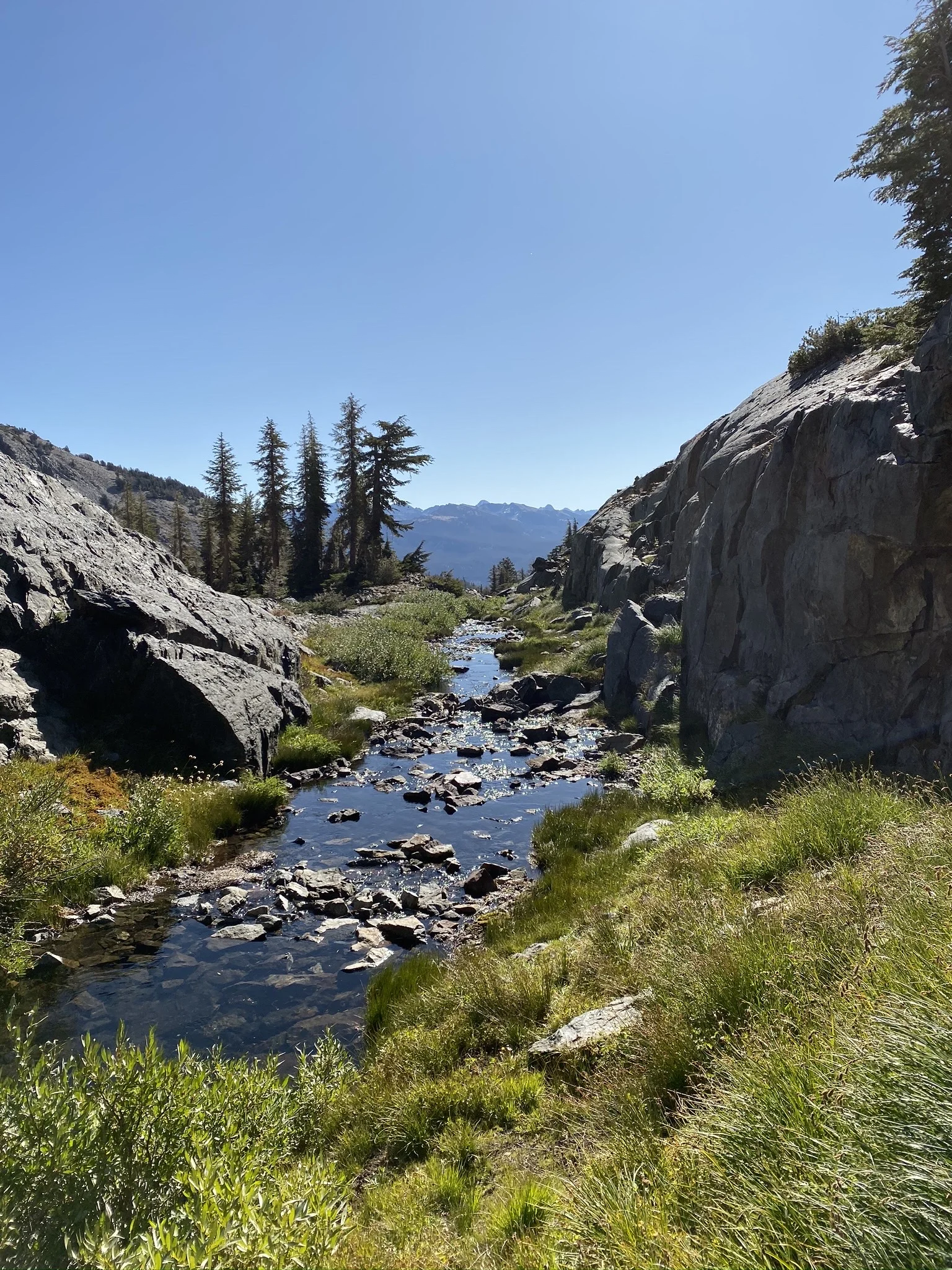 Pillar 1: Relationships