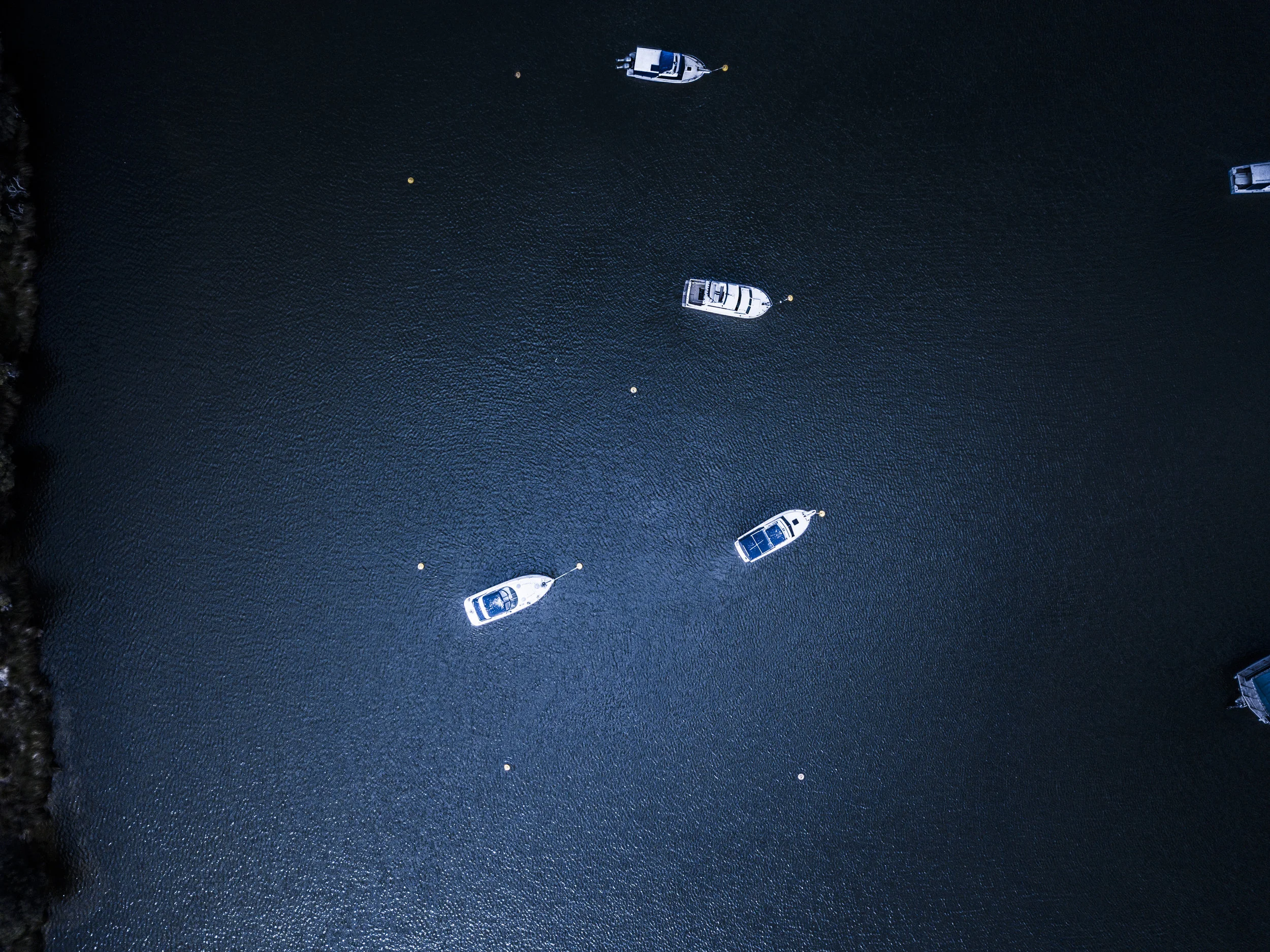 Webinar: Navigating the Markets Through COVID-19