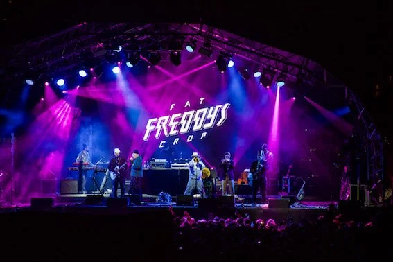 Fat Freddy's drop