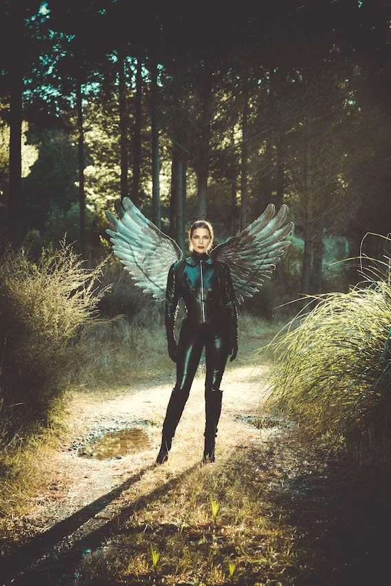 Fairy