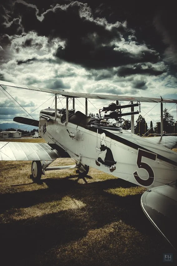 Warbirds over Wairarapa