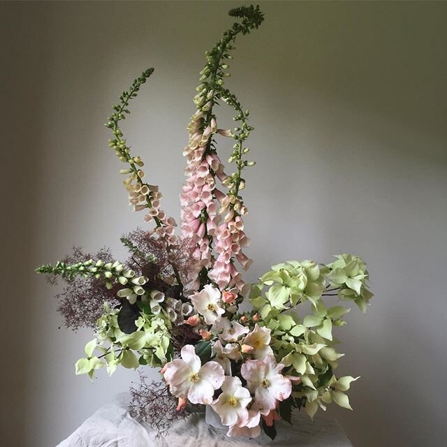 foxglove &bull; sally holmes rose &bull; dogwood &bull; smokebush &bull;