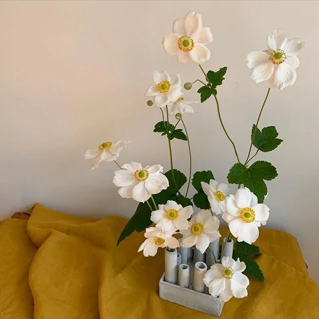 windflowers from my garden in the most beautiful vase made by my luminous friend @taraburkestudio ✨💛🌾 I hope you&rsquo;re all hanging in there, these are such strange times but we will reach the other side of it ~ sending love and light to you and 
