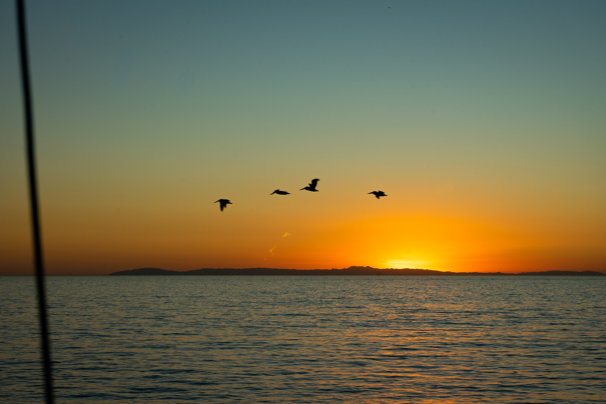 Catalina Island Sunset.jpg