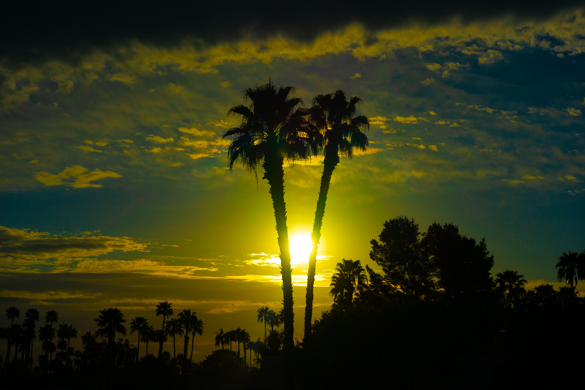 Palm Springs Dark Sunrise.jpg
