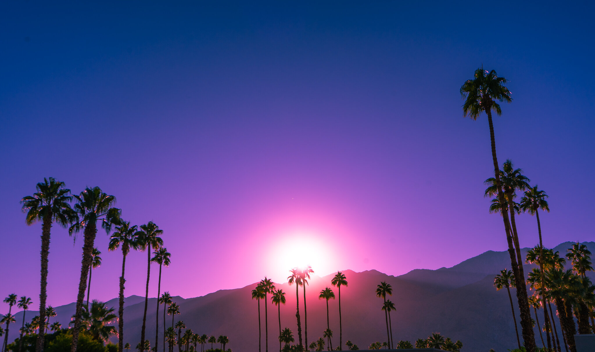 Palm Springs Purple Sunset.jpg