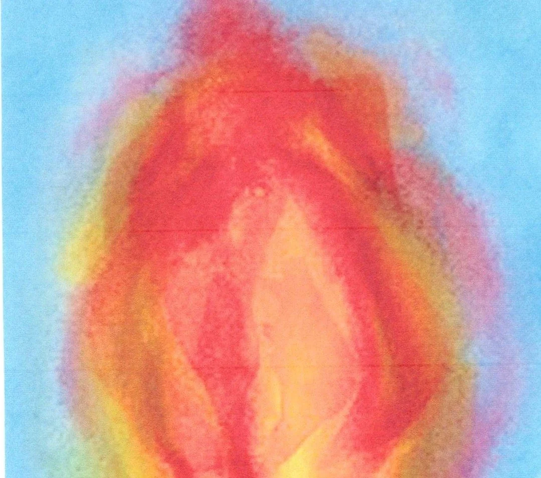 Mysteries of the Human Heart with Branko Furst and Christina Porkert-Furst