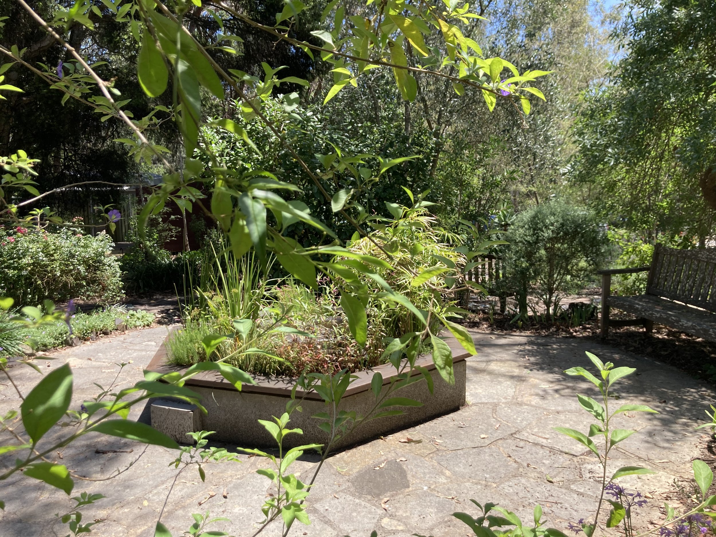 Save the date! MTC 40th Celebration 