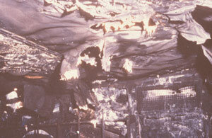 SV163 Wreckage 2.jpg