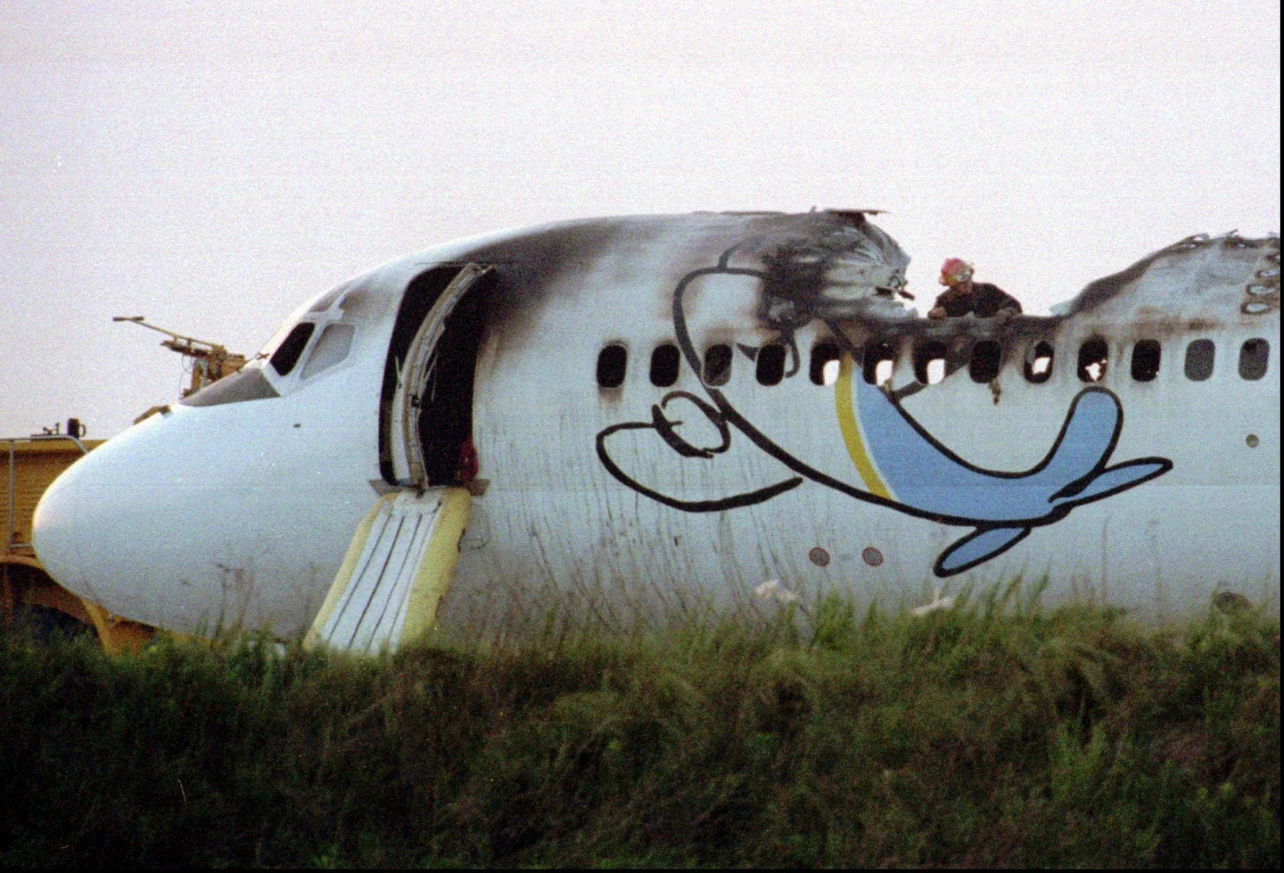 VJA597 Wreckage 1.jpg