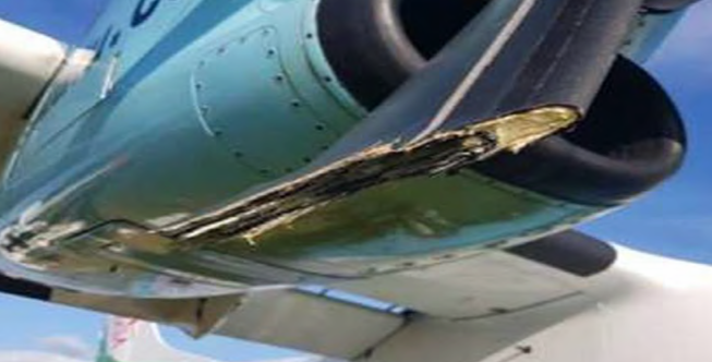 AVN241 Wreckage 1.png