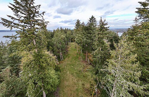 N449QX Crash Site.jpg