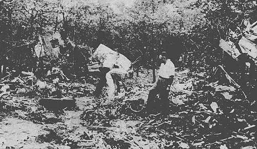 BRF542 Wreckage 2.jpg