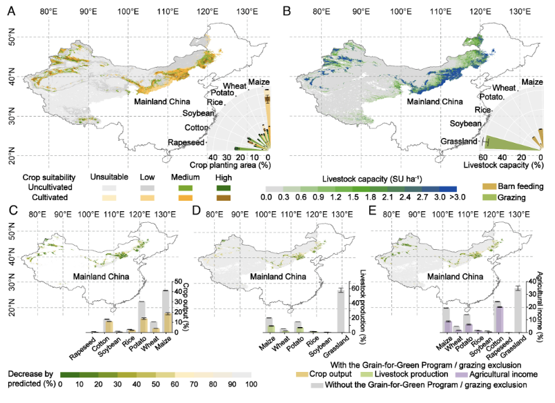 SDG-Driven Solutions for Combating Global Desertification