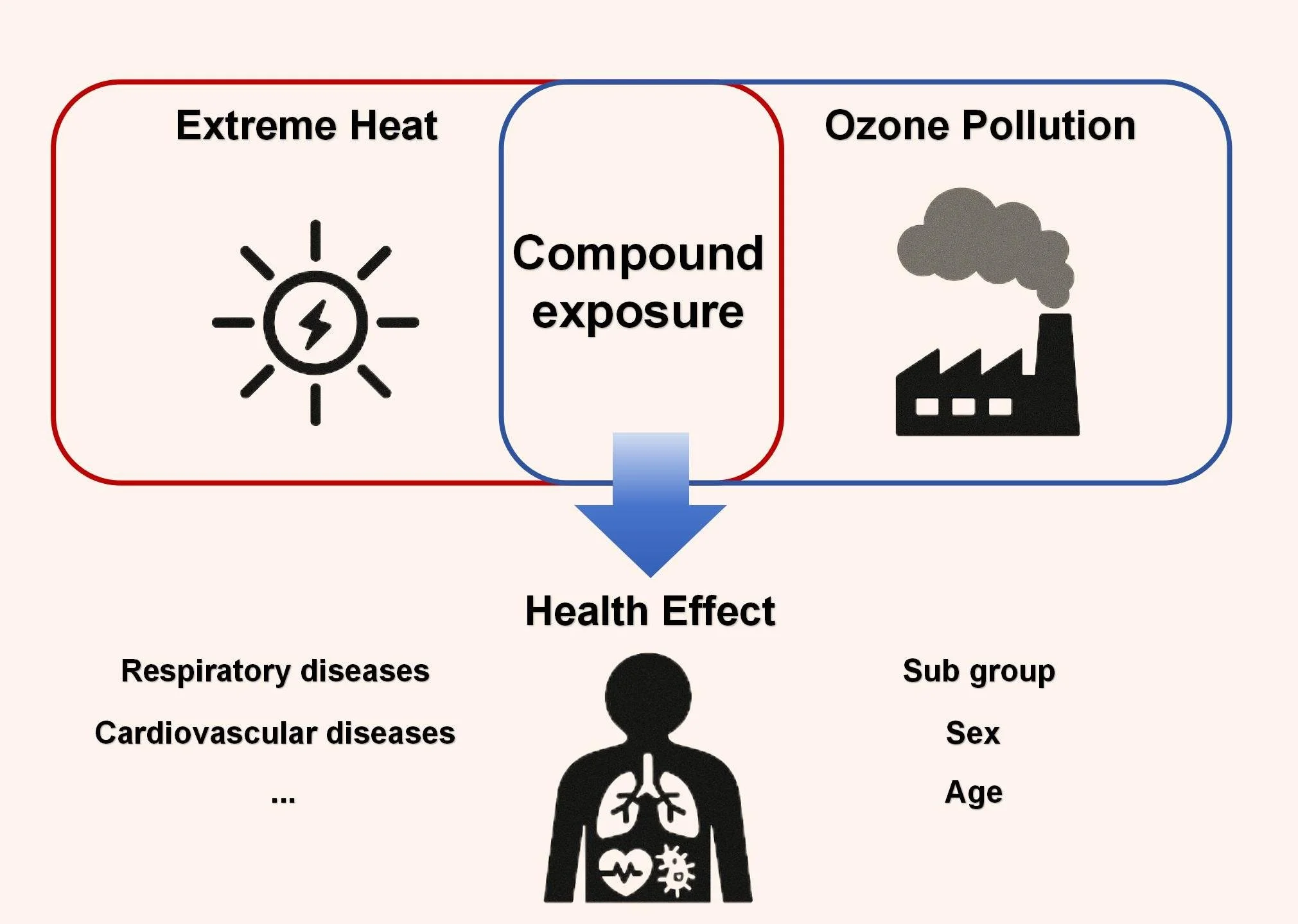 Peiyue PhD project.jpg