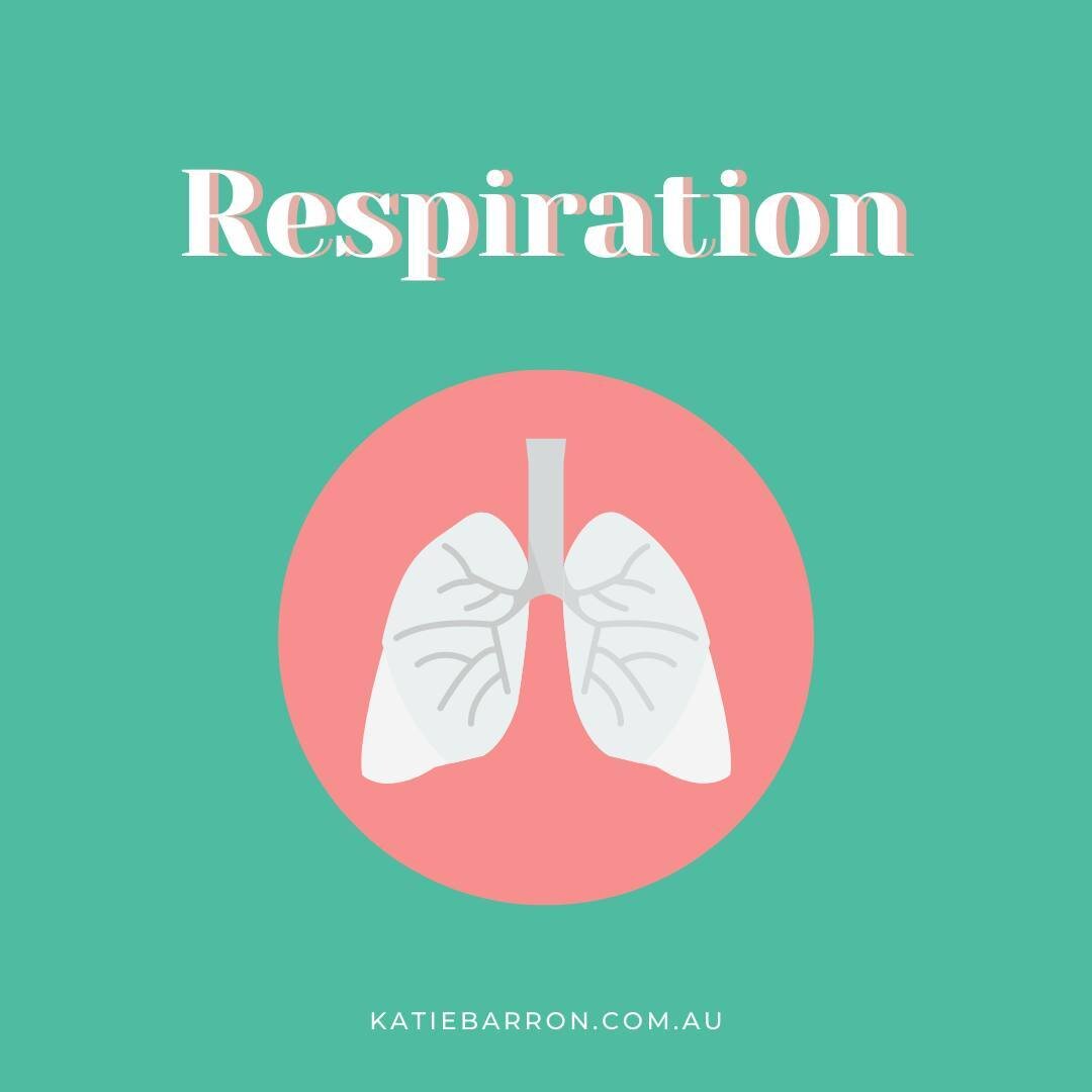 Lungs should inflate and deflate symmetrically. ⁠
There shouldn't be any visible effort with respiration. ⁠
We can check symmetry of respiration with the chest expansion technique...which commonly identifies consolidation or scar tissue on a lung (of