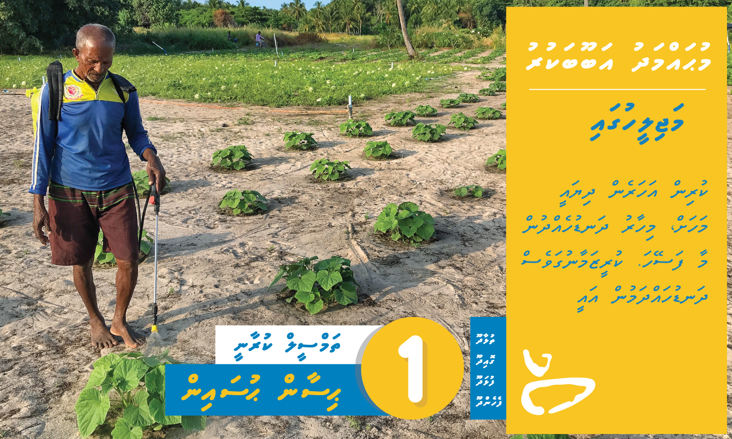 Constituent_Goidhoo_Dhanduhehdhun.png