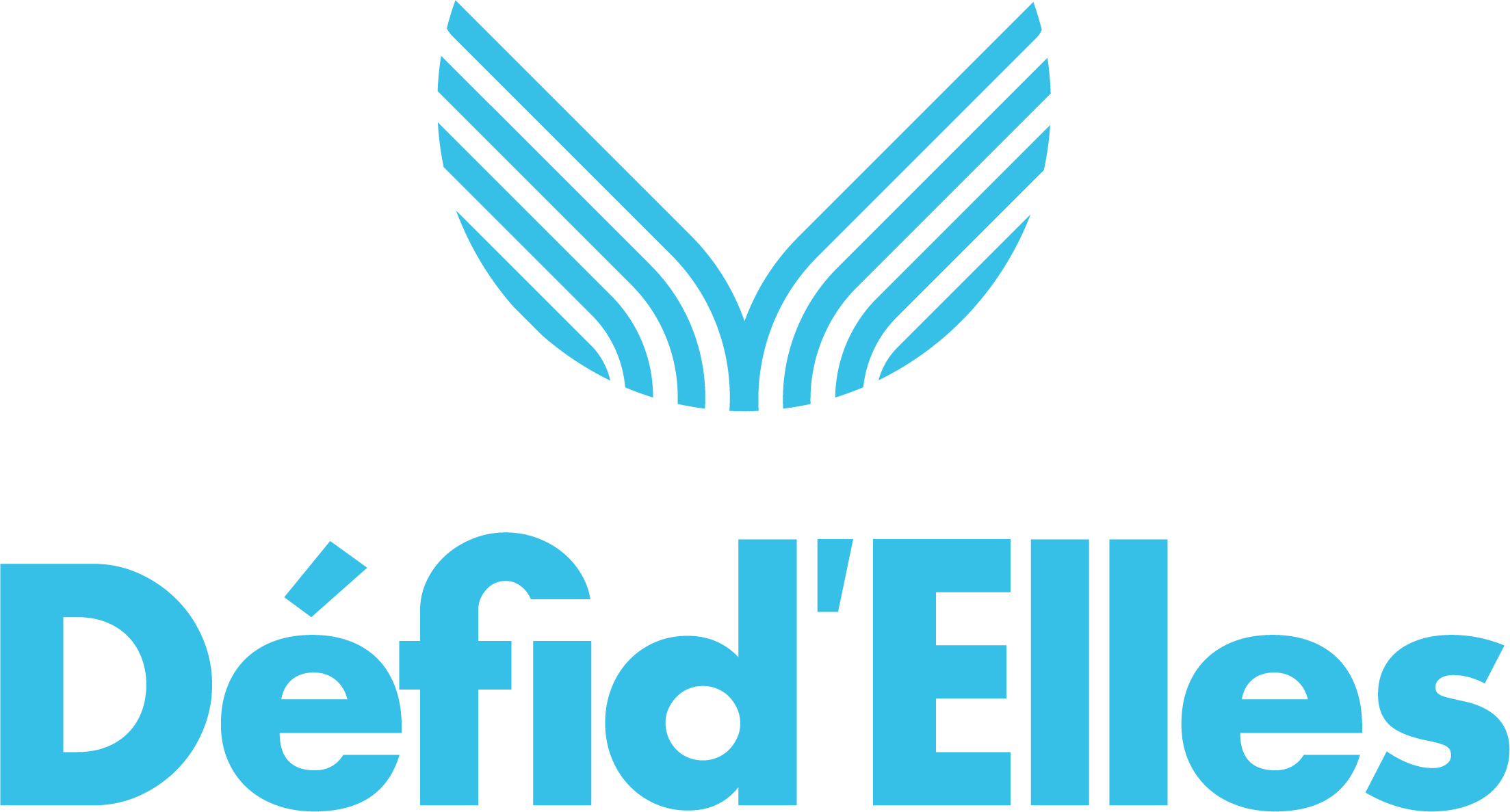 DFD_Logotype_vertical_Bleu_RVB_150_dpi.png