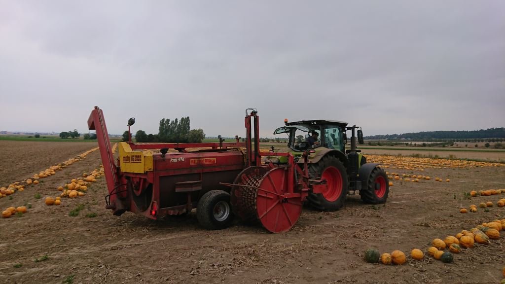 Über Uns — Göing