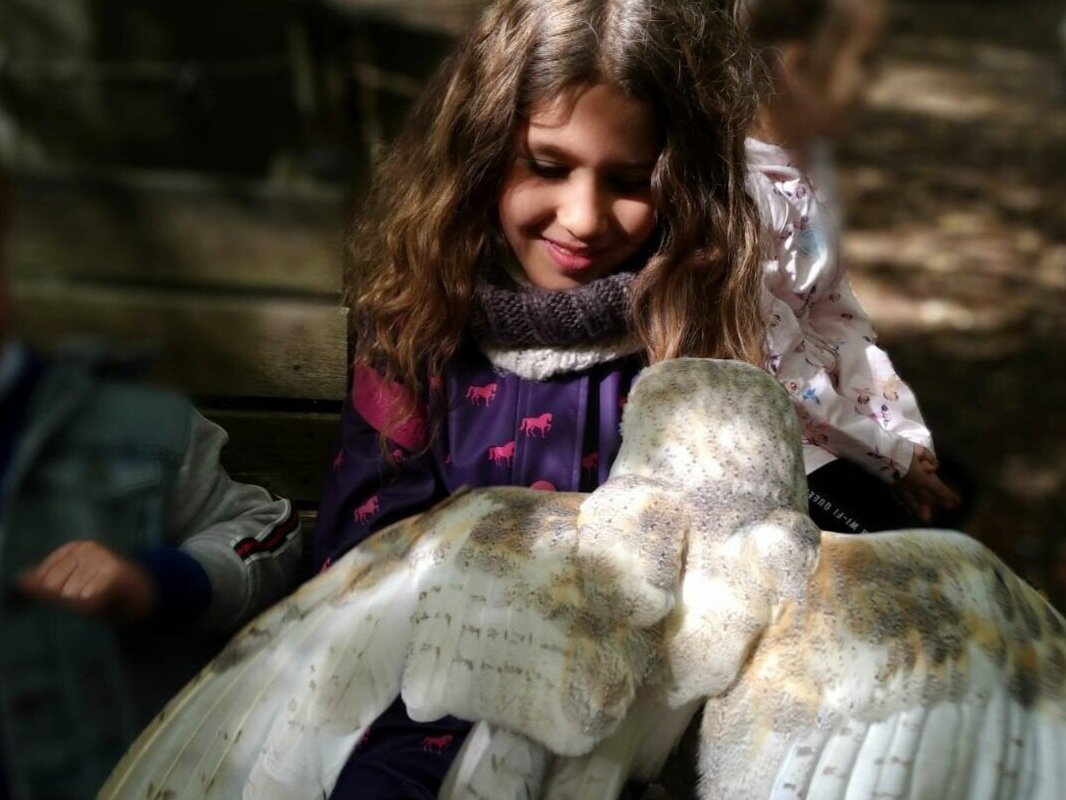 Child with owl