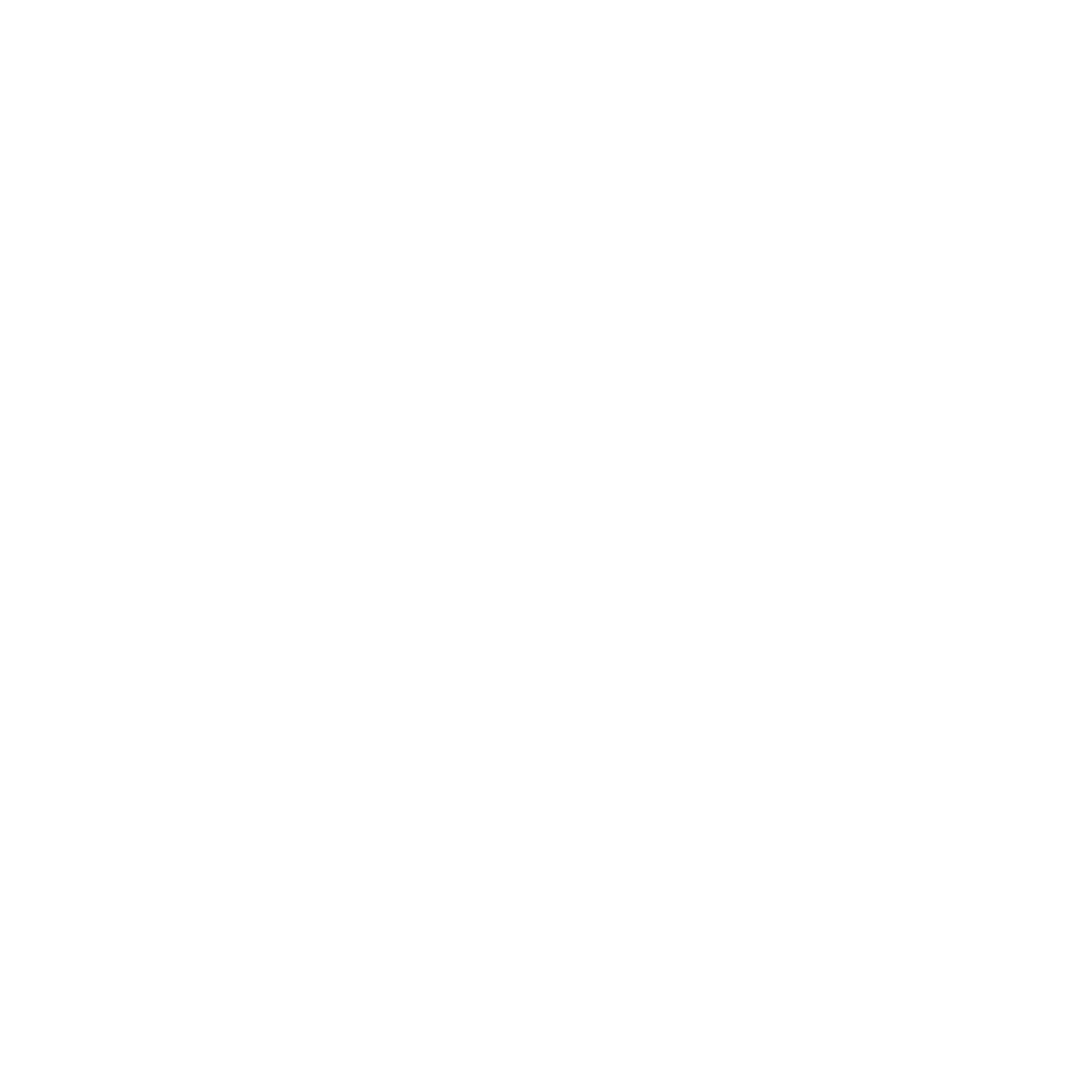 AVS.png