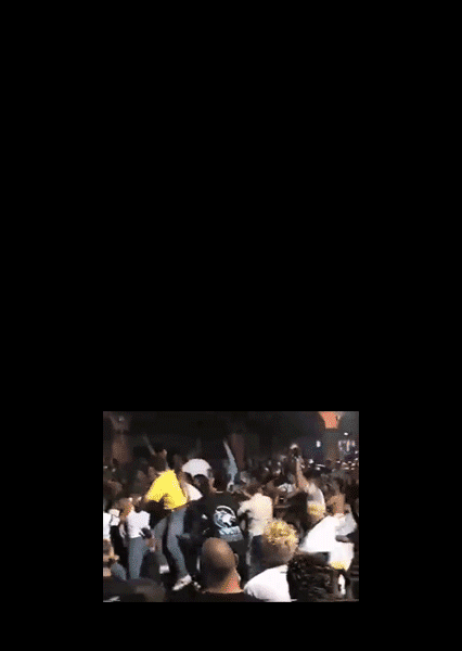 ALYX_032c_partyFlyer.gif.2048x1566_q90.gif