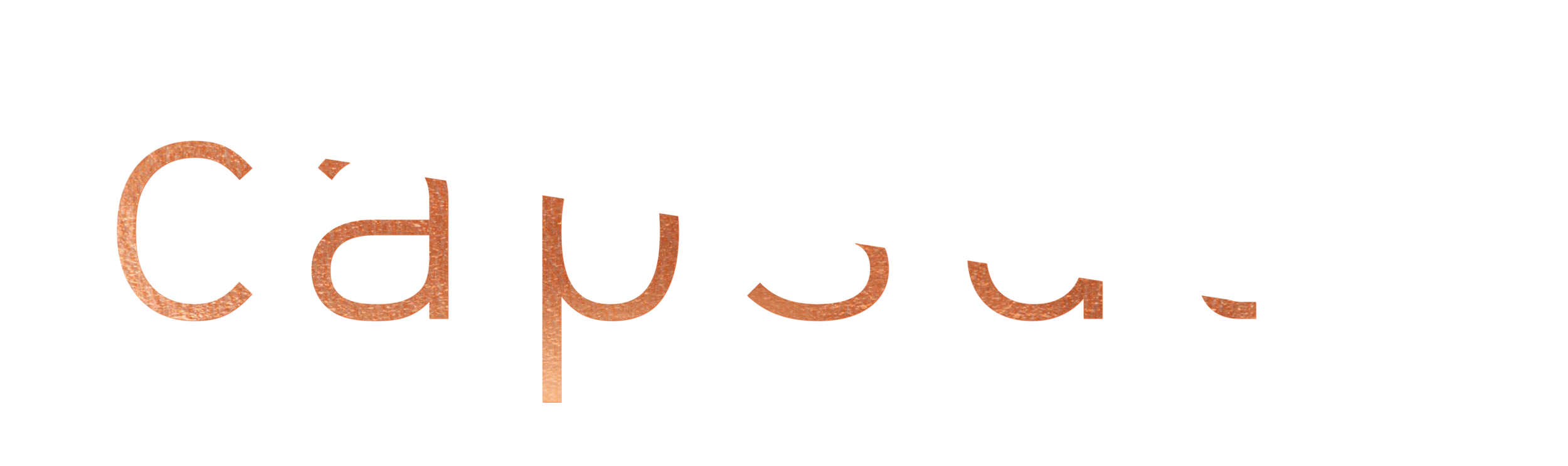 Capsule-Logo-06.png