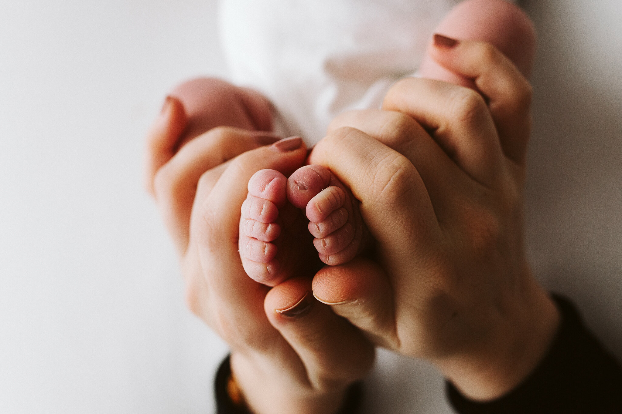 088_webnewborn2019.jpg