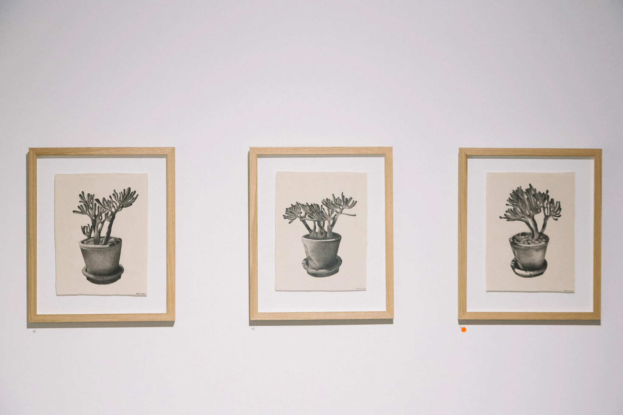 Installation view of "Running Towards Home", 2021 at Praxis ARTSPACE, Adelaide. Photography by Thomas Mccammon.