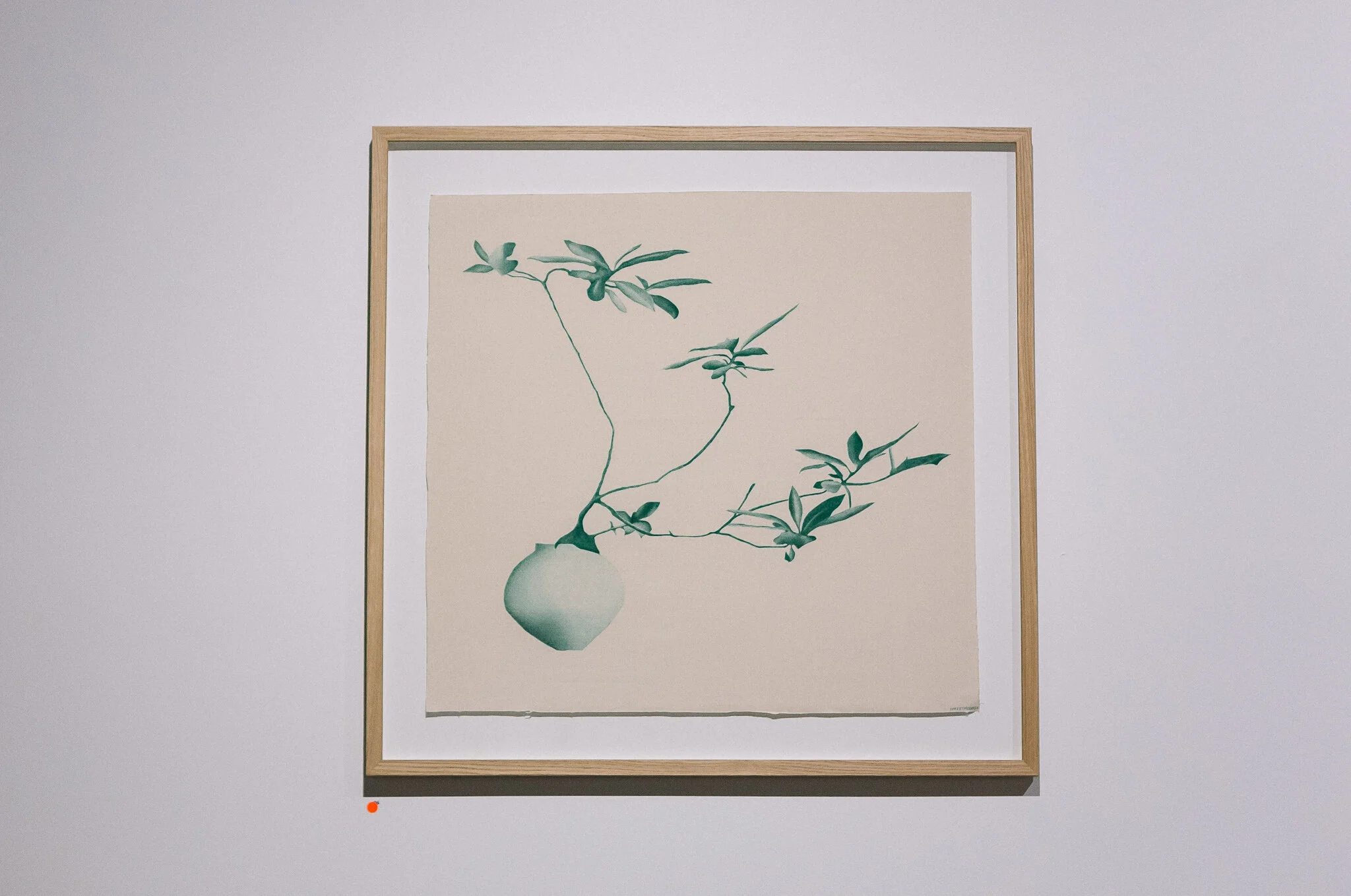 Installation view of "Running Towards Home", 2021 at Praxis ARTSPACE, Adelaide. Photography by Thomas Mccammon.
