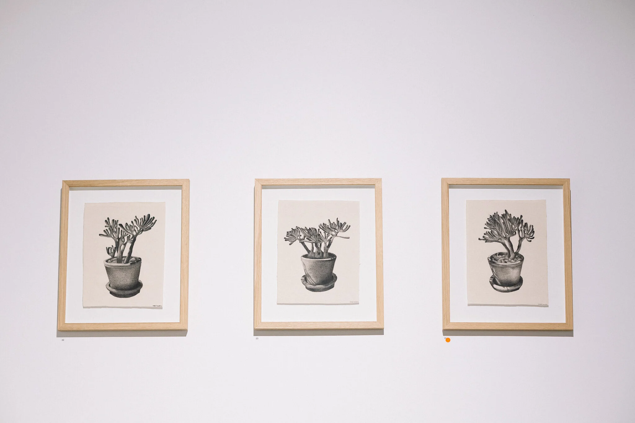 Installation view of "Running Towards Home", 2021 at Praxis ARTSPACE, Adelaide. Photography by Thomas Mccammon.