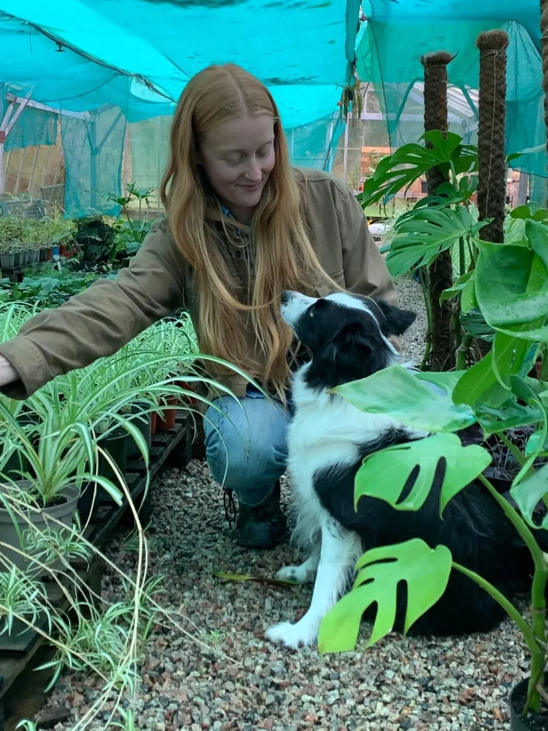 Nearly forgot about this one...
TONIGHT IM ON GARDENERS WORLD. from 8pm talking winter care for your houseplants. 🌎 🍃 @gardenersworldtv

I'll be honest, it was filmed a wee while back and I've actually forgotten what I said haha so here's hoping I 