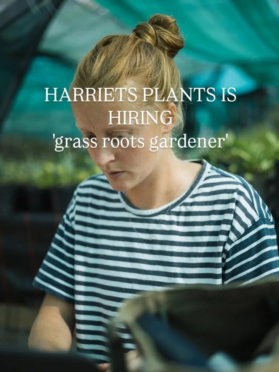 Harriets is hiring for a 'Grass Roots Gardener' to join the team. Maternity cover role with room for growth in the long run. I am looking to grow this role to a permanent position when possible.

Job description:
A great opportunity to work alongside