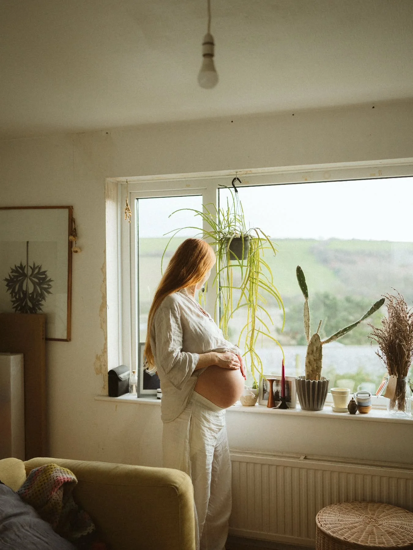 Nesting in my house forever more at this stage.
Always with plants 🌿 

Going to be growing lots of plants for you all soon, but for now, I'll be sowing and growing some food for my own garden and the local wildlife :) 🐞 🐝 🌼 🌸 

📷: @melaniegrace