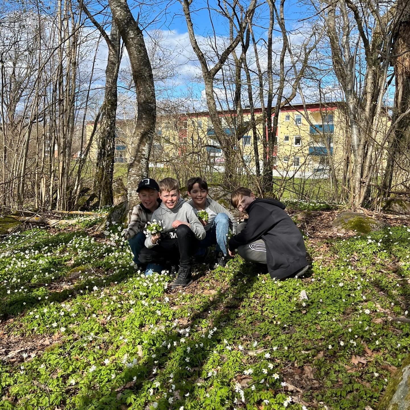 V&aring;rk&auml;nslan &auml;r fantastisk p&aring; v&aring;ra Sportis, n&aring;gra bakslag stoppar inte oss fr&aring;n att vara ute och r&ouml;ra p&aring; oss! Nu hoppas vi att v&aring;ren kommer f&ouml;r att stanna☀️ #ettfritidsir&ouml;relse #v&aring