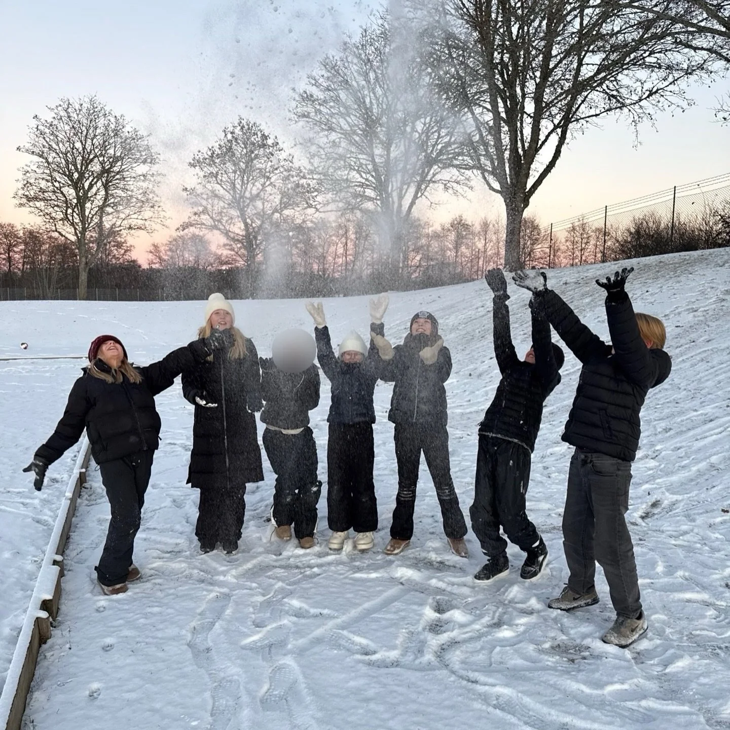 H&auml;r kommer n&aring;gra av v&aring;ra favoritbilder fr&aring;n november🌟