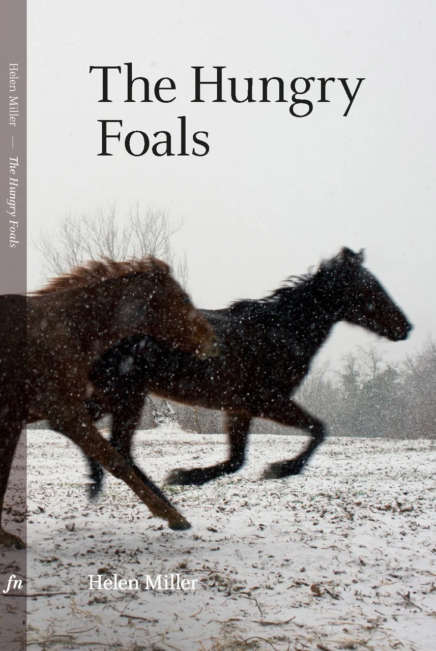 Coberta The Hungry Foals7_copy_Page_1_COVER copy.jpeg
