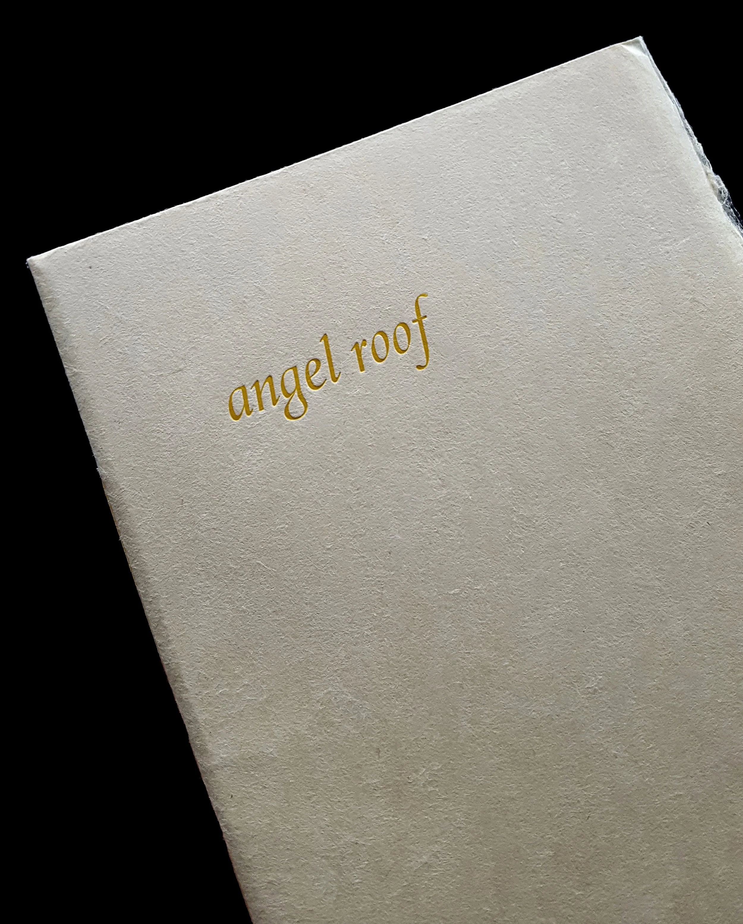AngelRoof_Cover.jpg