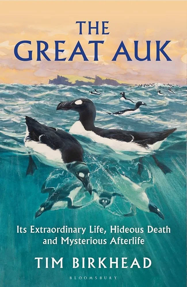 the great auk.jpg