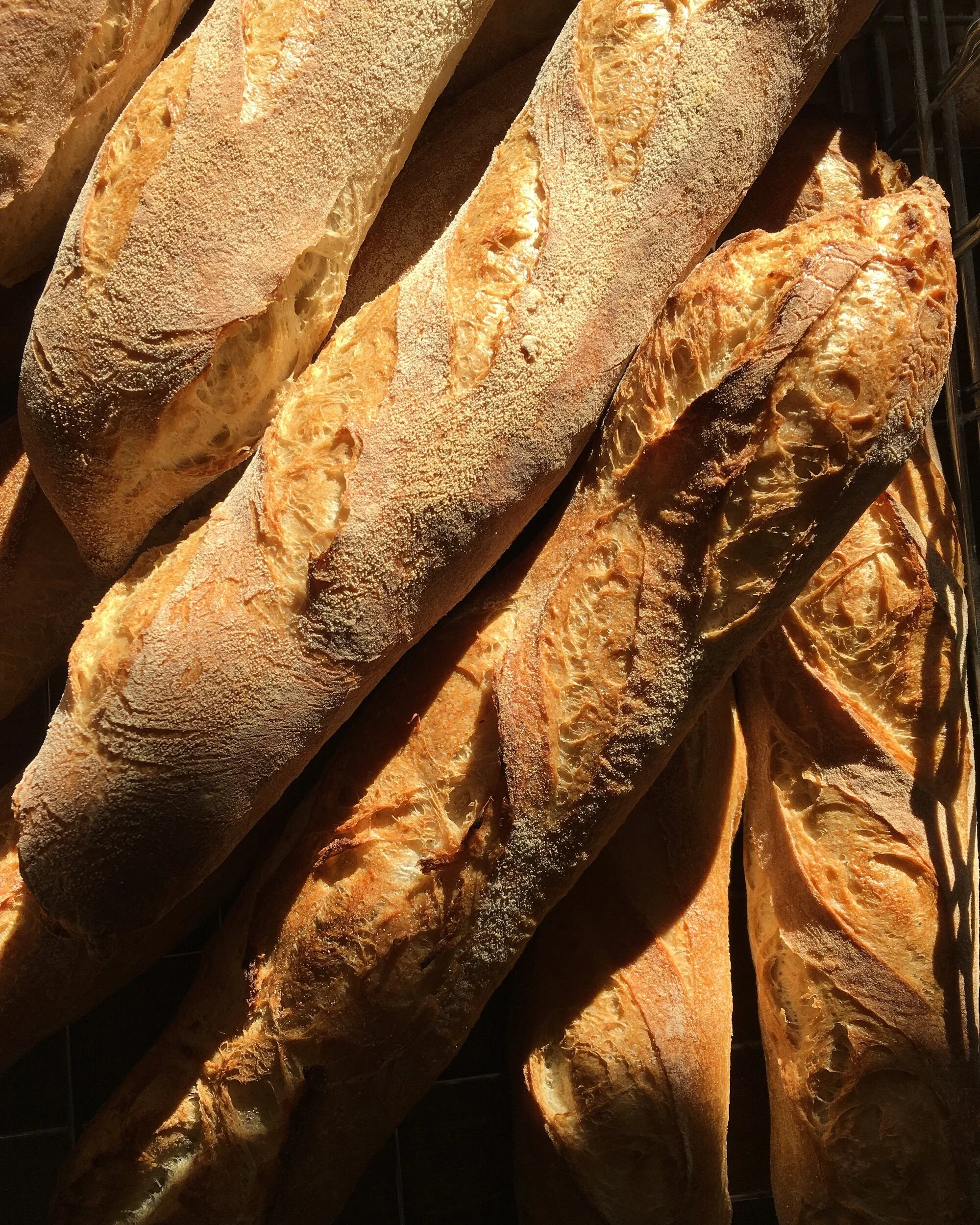 C66779E8-8A75-4BFE-8784-34A48F9C2547