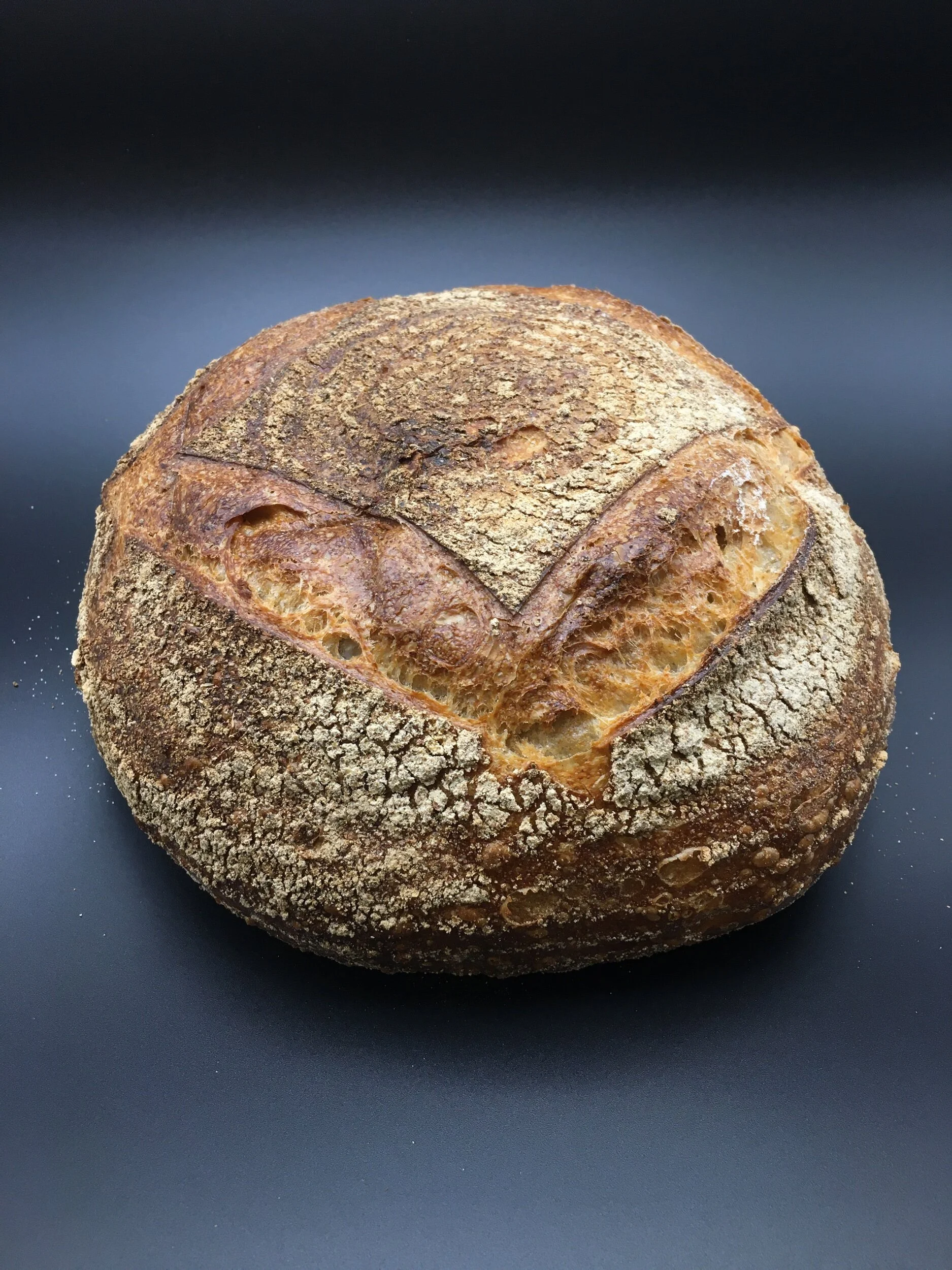 D7750873-C6EF-45FA-937F-C9A476BFCDEE